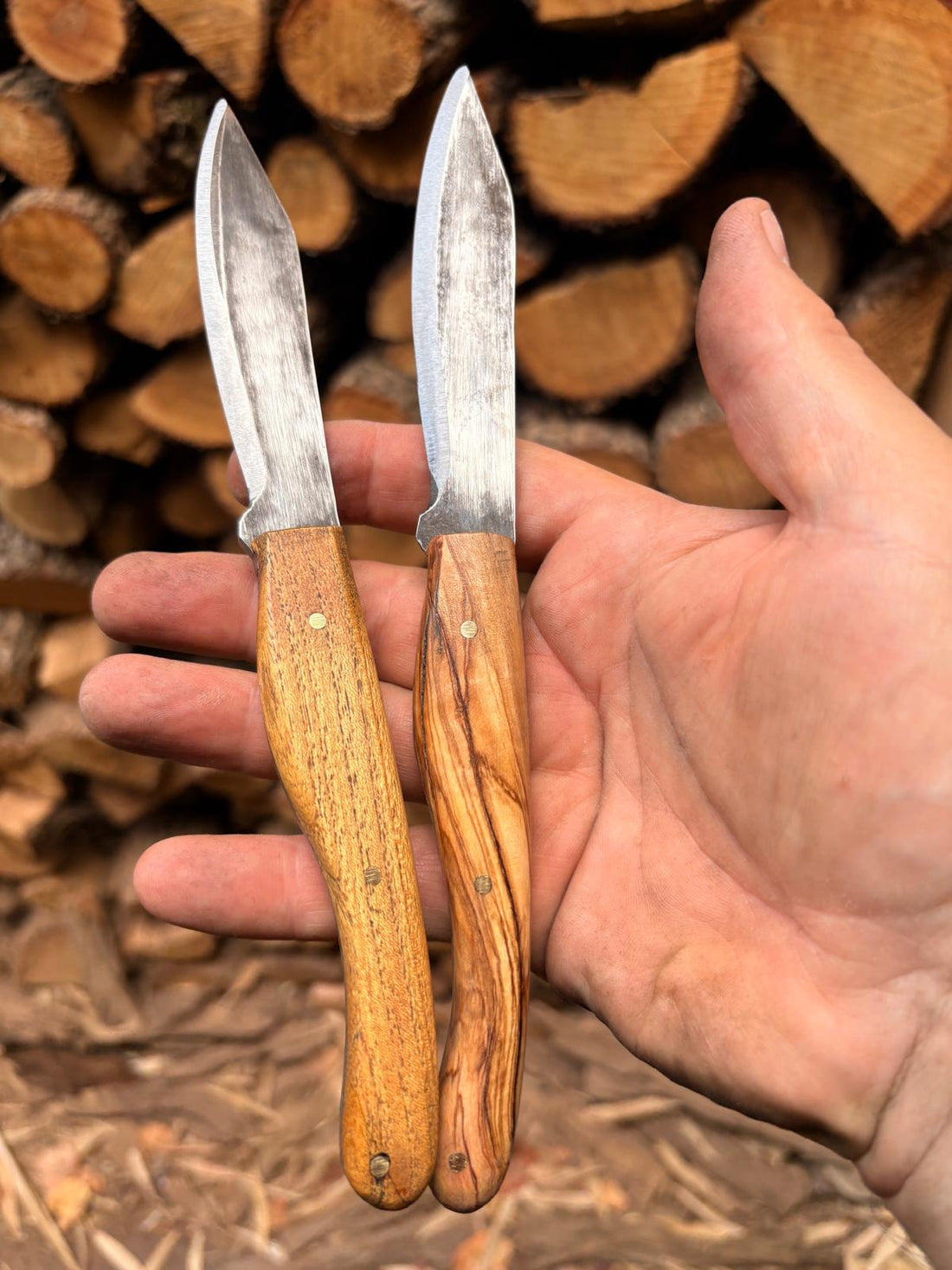De l’olivier et de l’acacia pour passer à table